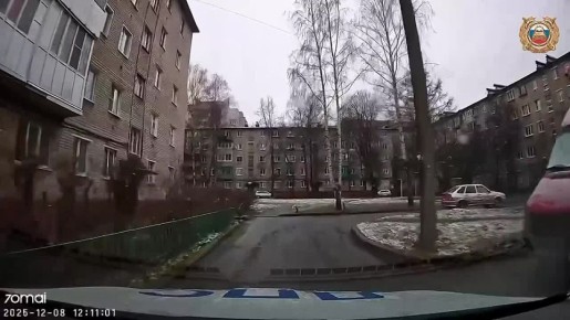 08.12.2025    .      ,   50     ,     