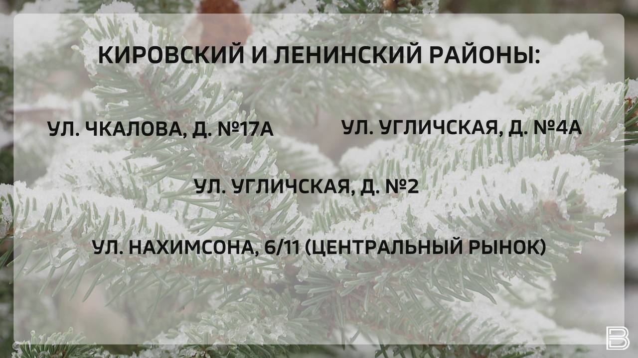 В Ярославле откроются 16 елочных базаров В Ярославле откроются 16 елочных базаров