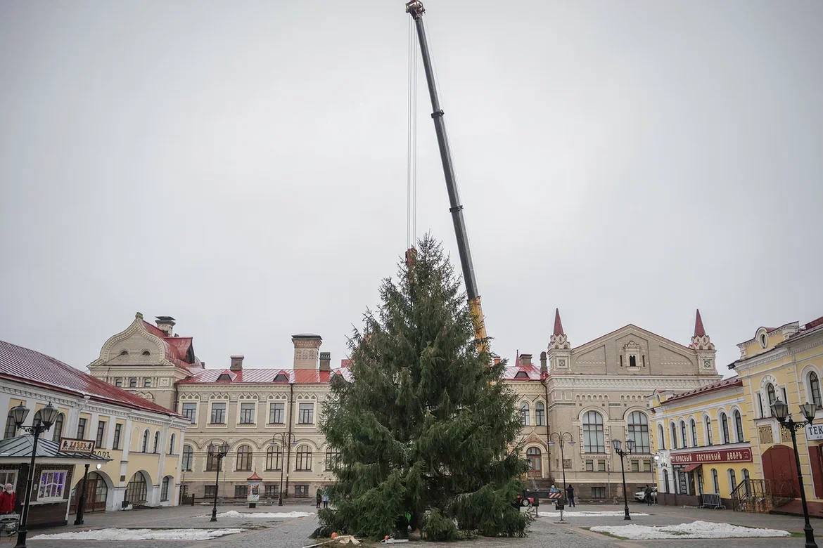 Дмитрий Рудаков: Город готовится к Новому году