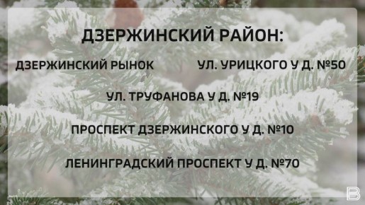 В Ярославле откроются 16 елочных базаров