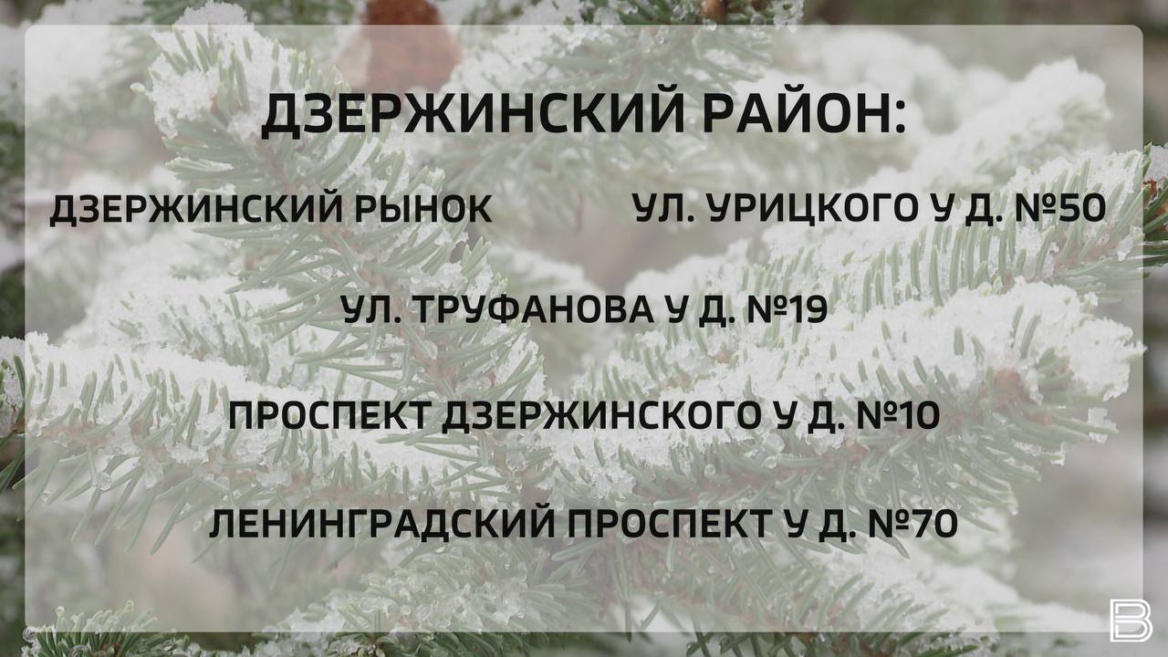В Ярославле откроются 16 елочных базаров