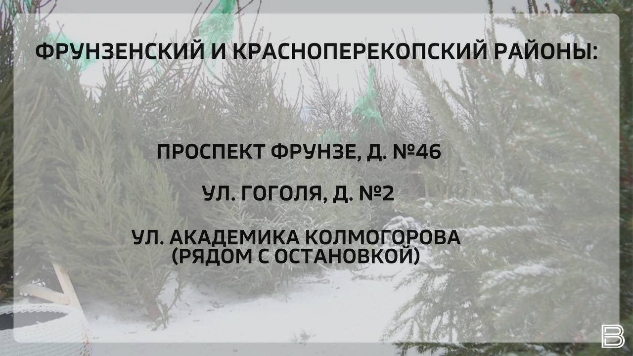 В Ярославле откроются 16 елочных базаров В Ярославле откроются 16 елочных базаров