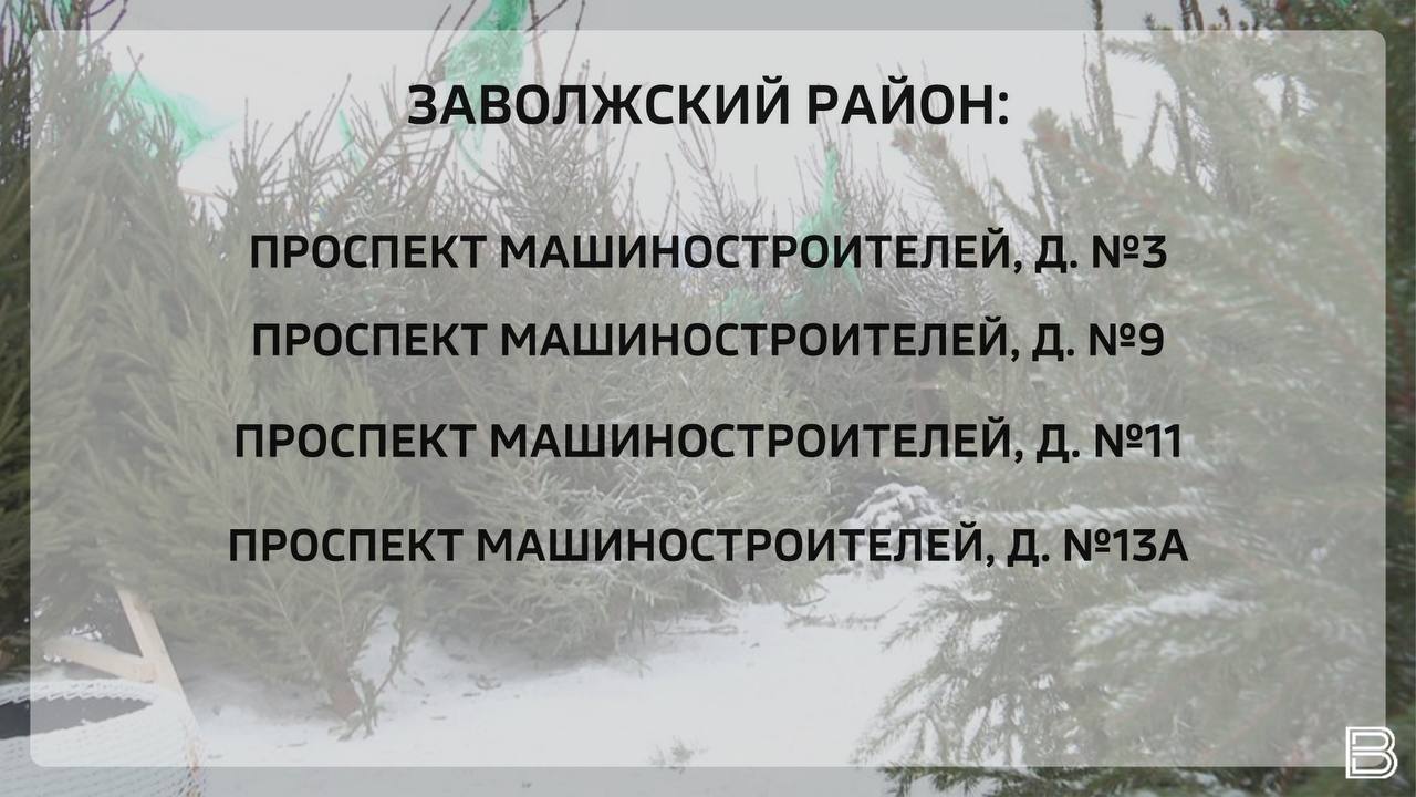 В Ярославле откроются 16 елочных базаров В Ярославле откроются 16 елочных базаров