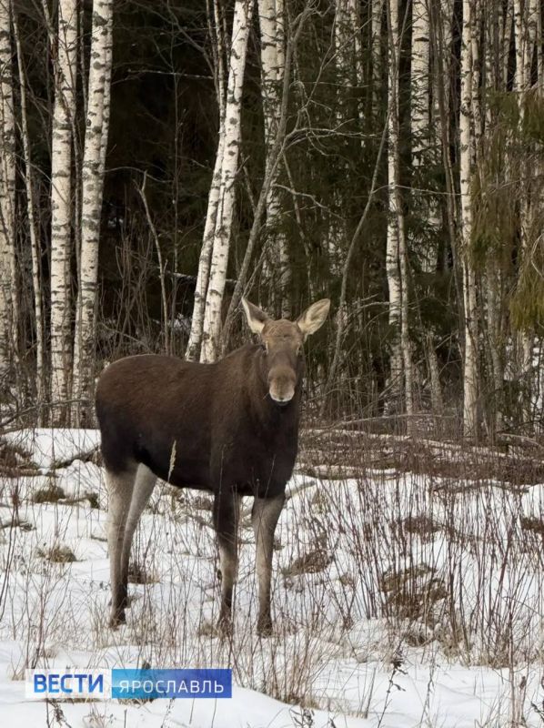 �� ����� �� ����� ����������� ������� ������ �������� ����