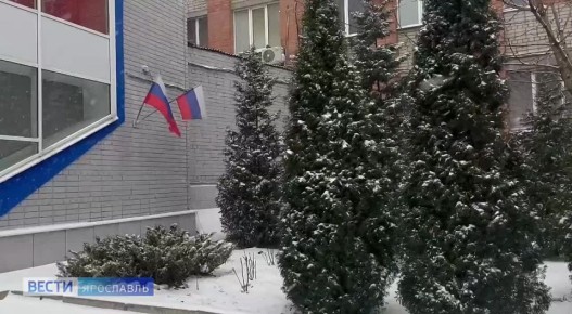 Заметает. . .. Можно вечно смотреть, как горит огонь, течет вода, и наконец-то идет снег в Ярославской области! Telegram | MAX