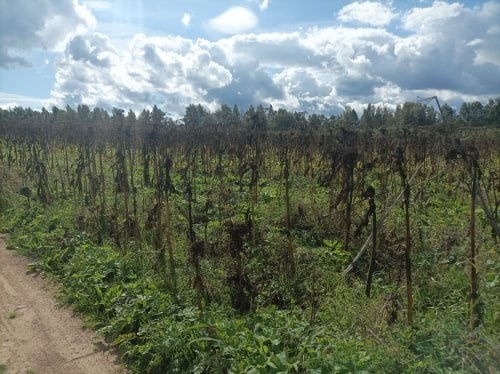 По апелляционному представлению прокурора Некрасовского района Ярославский областной суд возложил на органы местного самоуправления обязанность обеспечения транспортной и инженерной инфраструктурой земельные участки для... По апелляционному представлению прокурора Некрасовского района Ярославский областной суд возложил на органы местного самоуправления обязанность обеспечения транспортной и инженерной инфраструктурой земельные участки для...