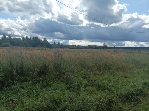 По апелляционному представлению прокурора Некрасовского района Ярославский областной суд возложил на органы местного самоуправления обязанность обеспечения транспортной и инженерной инфраструктурой земельные участки для...