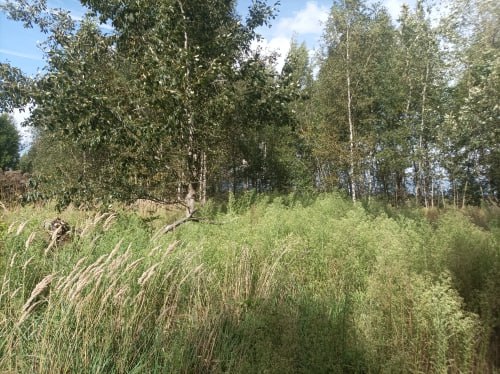 По апелляционному представлению прокурора Некрасовского района Ярославский областной суд возложил на органы местного самоуправления обязанность обеспечения транспортной и инженерной инфраструктурой земельные участки для... По апелляционному представлению прокурора Некрасовского района Ярославский областной суд возложил на органы местного самоуправления обязанность обеспечения транспортной и инженерной инфраструктурой земельные участки для...