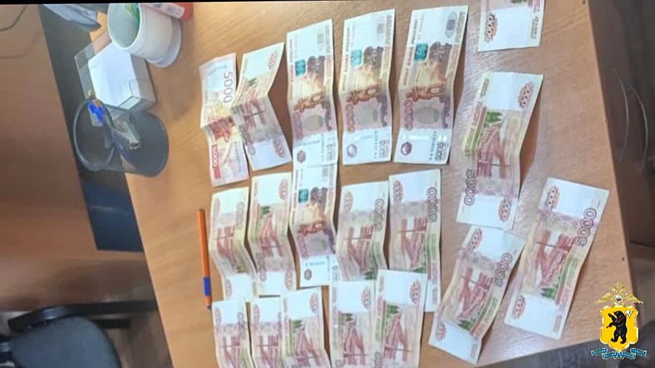 Ярославскими оперативниками с поличным задержан подозреваемый в совершении серии краж на территории региона