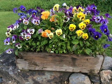 ����������: ��� ��������� �����, ������� �������� ����� ��������