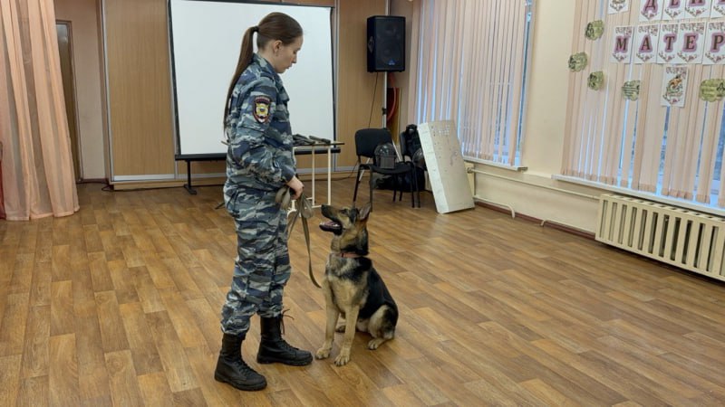 Ярославские полицейские присоединились к Всероссийской акции «Полицейский Дед Мороз» Ярославские полицейские присоединились к Всероссийской акции «Полицейский Дед Мороз»