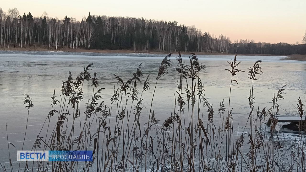 Доброе утро, Ярославль!. Снег порадовал нас совсем недолго — зима снова решила сделать паузу