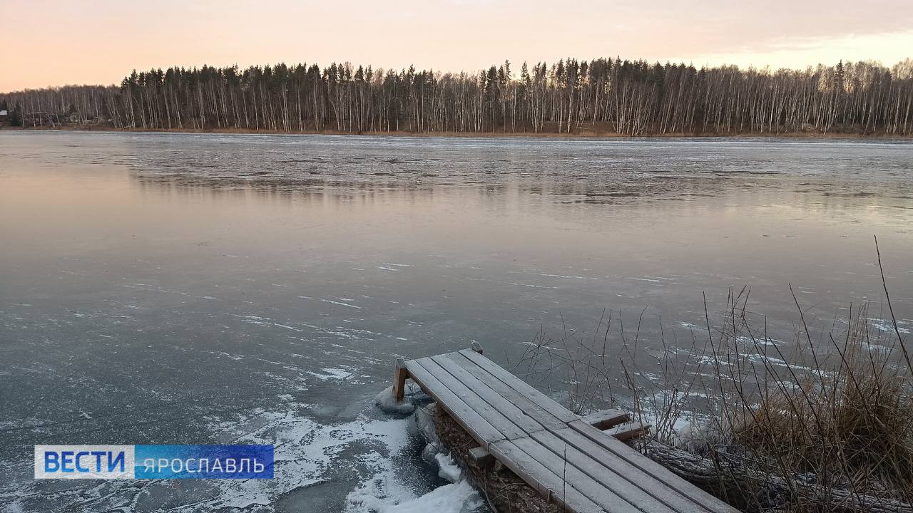 Доброе утро, Ярославль!. Снег порадовал нас совсем недолго — зима снова решила сделать паузу Доброе утро, Ярославль!. Снег порадовал нас совсем недолго — зима снова решила сделать паузу