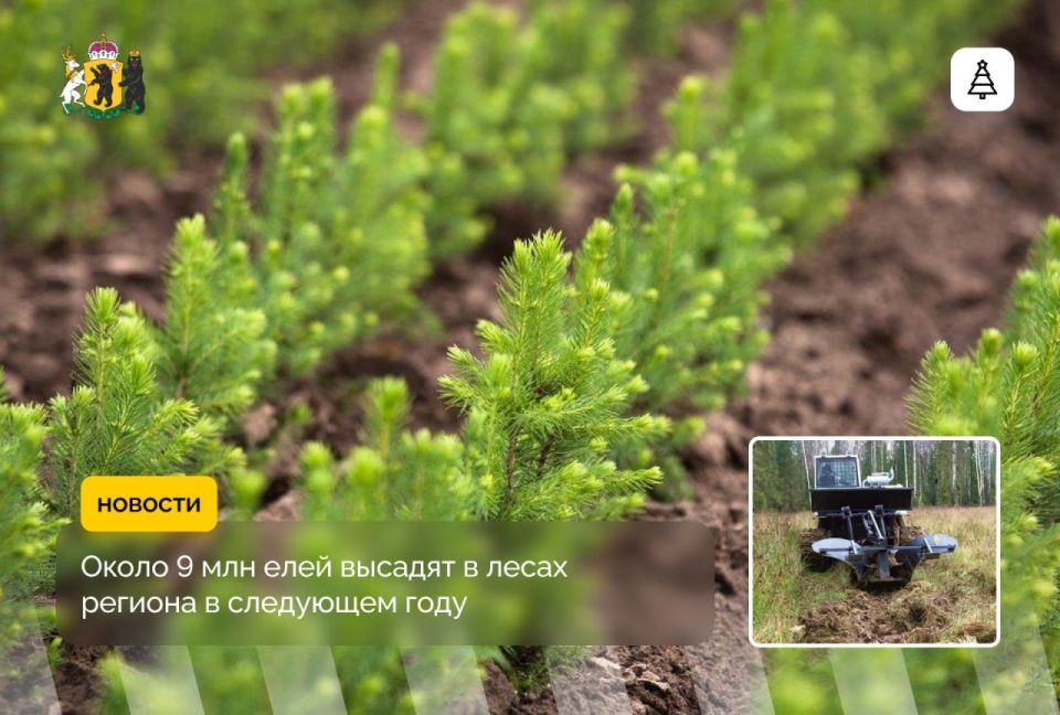 9 ��������� ����� �������� ��� ����� �����