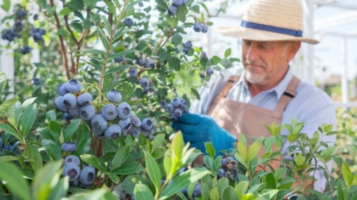 ��� ������ ���������� �������� �������� ��� �������� ������