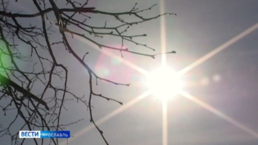 Самый короткий день в году ожидается в Ярославской области