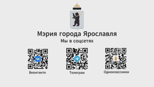 В Ярославле начали работу елочные базары