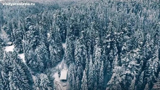 ���� ��������: ������������ ������������ ���������� ���������! ���������� ��� �������� ��� ��� � ���� � � ������������� ������ ���������!