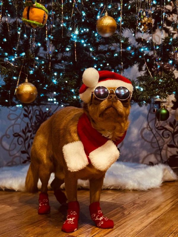 ���� ����������� ������� ����� �������� ����������� ��������!