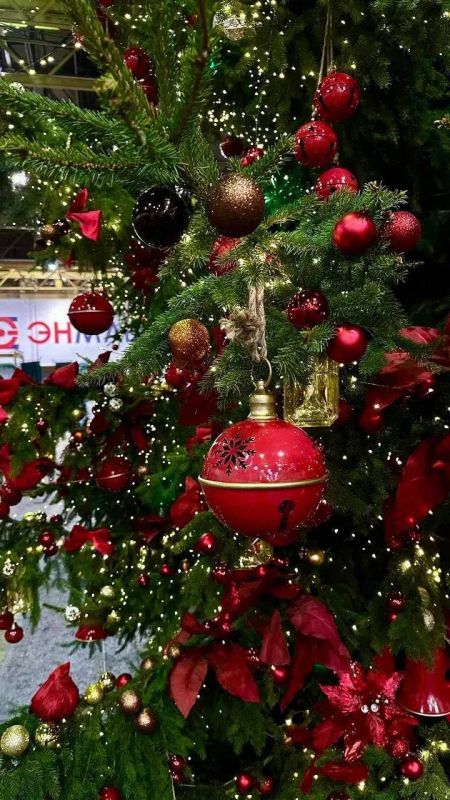 ������� �������: ���� �� �������� ����� � ������� ������, ��������� ����������� ���� ��������� � ���������