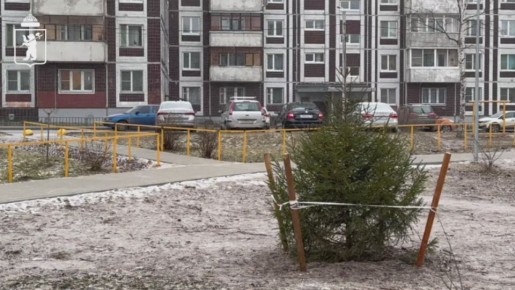 � ��������� ���������� ���������� �������� ������� ������� ����� � ��������� ������� ����