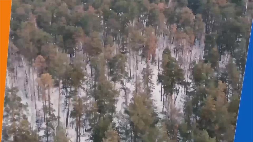 ������ � ����� ������ ���������� ������ � ����������� ���� ������