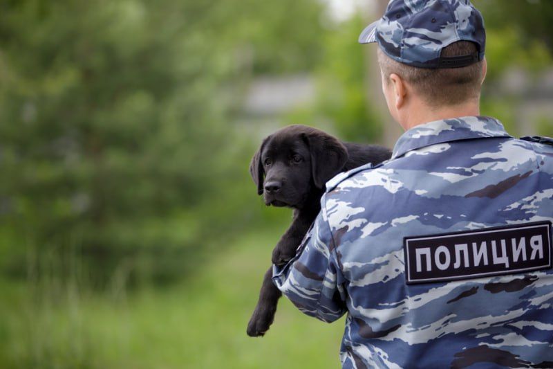 ����� �������������� ������ ���� ������ �� ����������� ������� ���������� ������� �� ������ � ������� ���������� ���