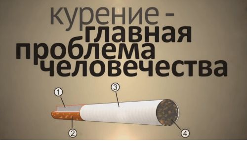 ��� ���������� � ��� ������� ������� ������: ������ � ������