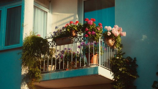 ��� ���������� ��� ������ � �������� ����: ������ ���� ��� ��������� �����