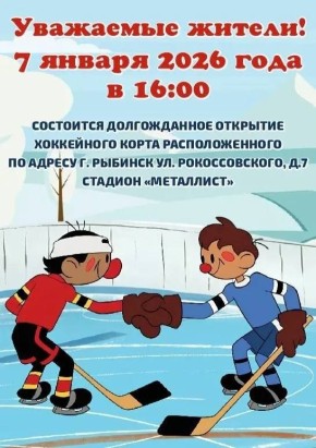 Дмитрий Рудаков: 7 января торжественно откроется хоккейный корт на стадионе «Металлист» в Волжском