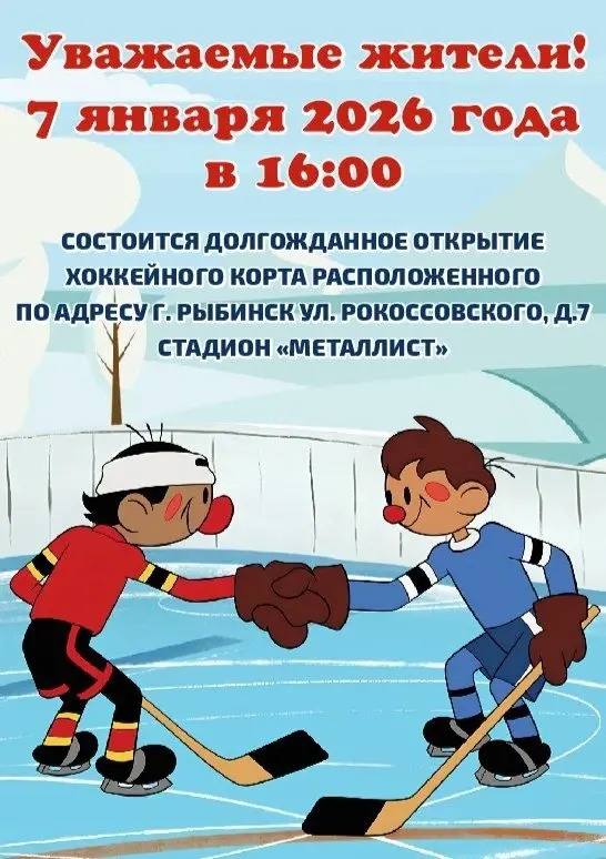 Дмитрий Рудаков: 7 января торжественно откроется хоккейный корт на стадионе «Металлист» в Волжском