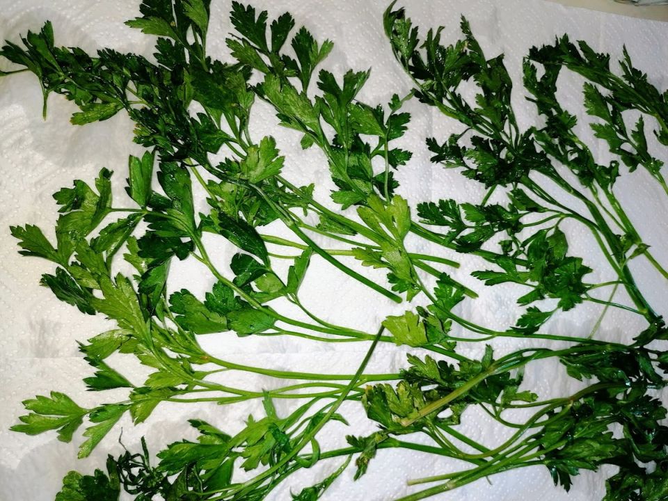 ��� ��������� ������ ������: ���������� ������ �� ���������� �������