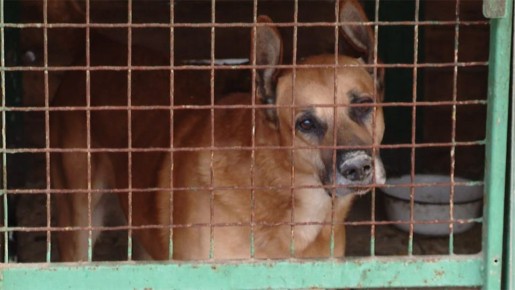 � ��������� �������� ������� �� ����� ���������� ��� ������ �������� �����