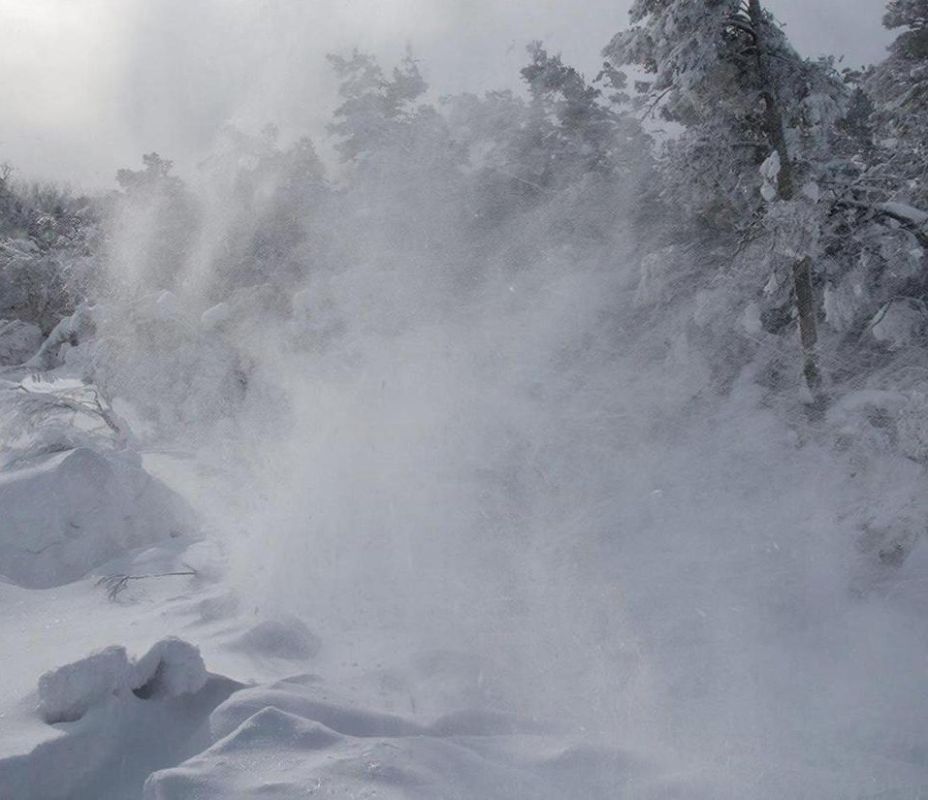 В мэрии Ярославля предупредили об ухудшении погоды