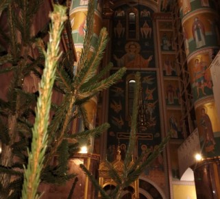 ����������� ���������� ��������� ������� ������� � ���������� ���������!