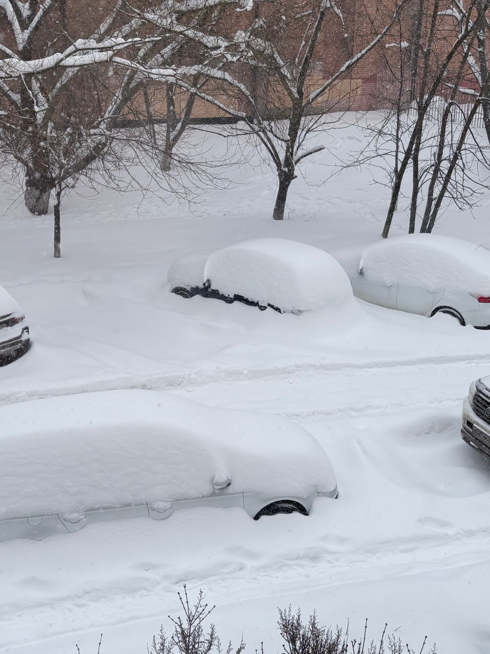 Жители Москвы пытаются справиться с транспортным коллапсом, возникшим из-за снегопада Жители Москвы пытаются справиться с транспортным коллапсом, возникшим из-за снегопада