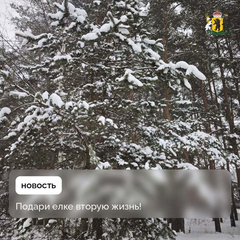 � 12 ������ � ��������� �������� ������ ����� ������� ���� ��������!