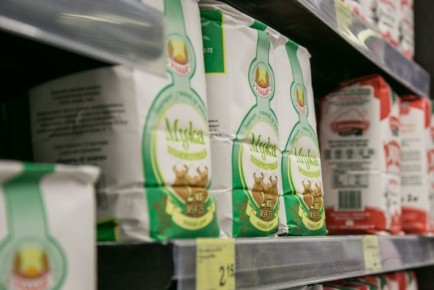 ������ �����: ������� � �������