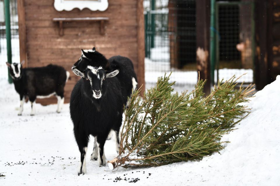 ����������� ������� ������ ��������� ����� ���� � ������������