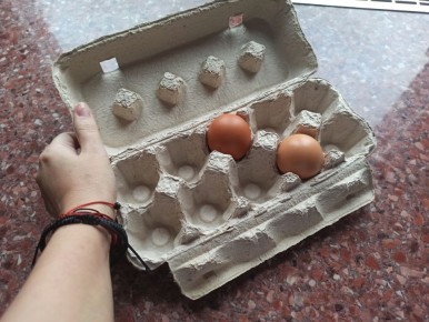 ��� ������������ ����� �� ��� ��� �������� � ��������: �������� �������