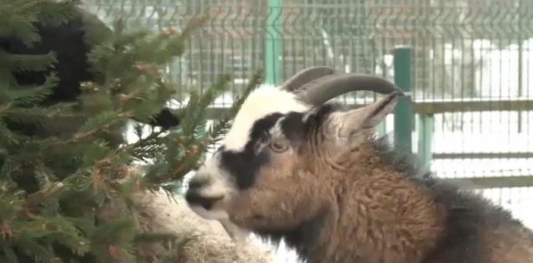 ��������� ������������ �������� ��������� �� ������� �������