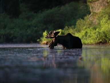 ����� ����� � ������ �� ����������� ��������� ��������� ����: ��� ����� ��������� � 2026 ����?