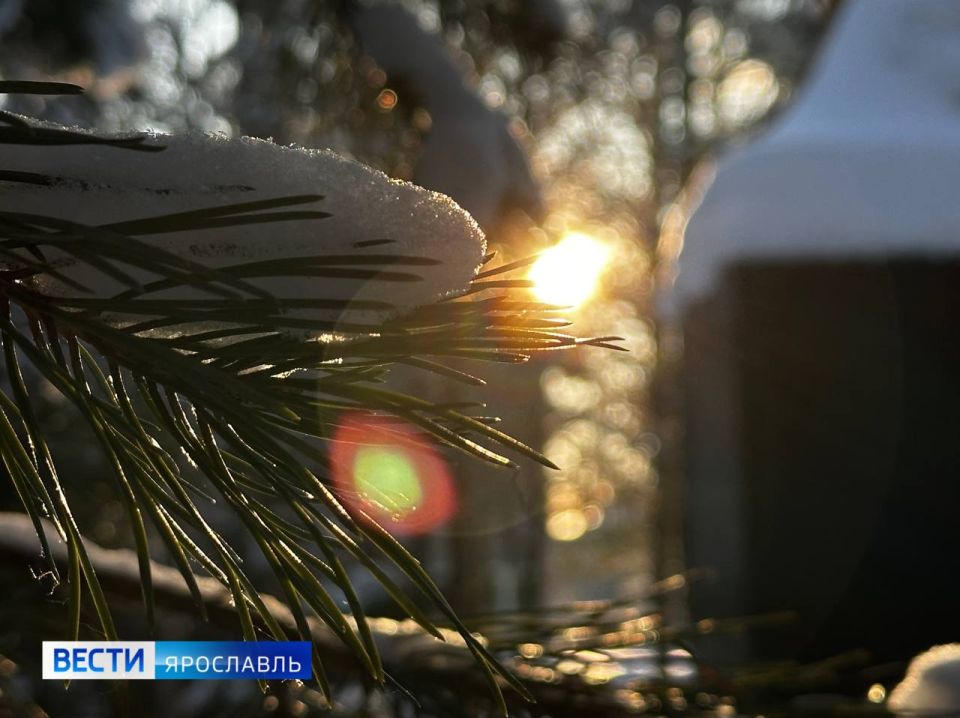 Снежно и туманно: синоптики рассказали о погоде на предстоящей неделе
