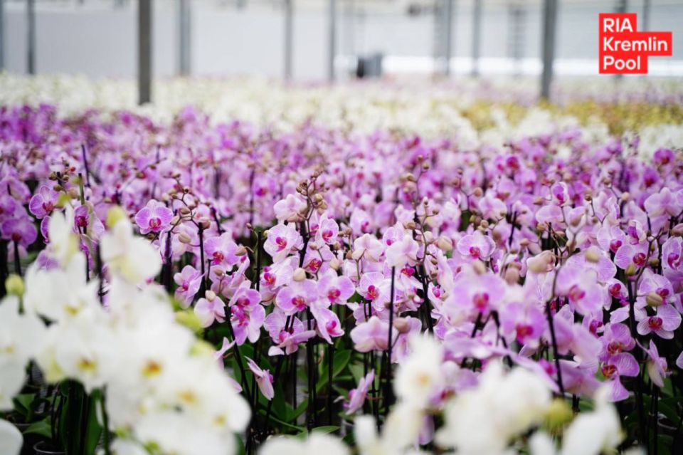 ����� �����, ��� � ����������� ������� � ������������ ��������� ���������� �������