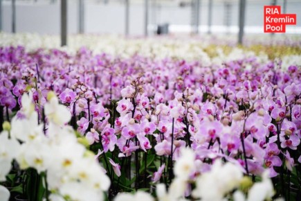 ����� �����, ��� � ����������� ������� � ������������ ��������� ���������� �������