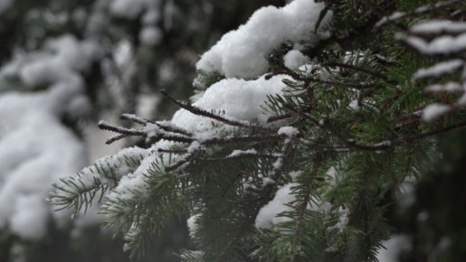 ������ ����, ���������!. � ���� � 13 �� 14 ������ �� �������� ��������� ������ ��� � ��� ������ ���������� ���� �, �� ���������� ���������, ��������� ����� � ��� �������� ������ ����� �� ������� �������� ��������� ��������...