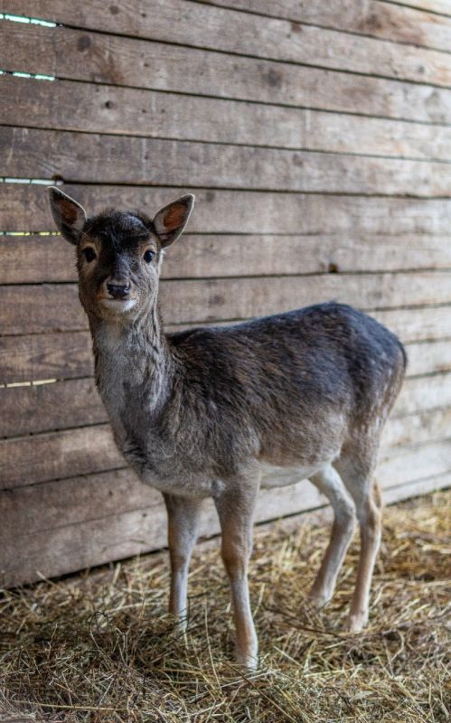 �� ������������ �������� � ���������� �������� ����������� ����