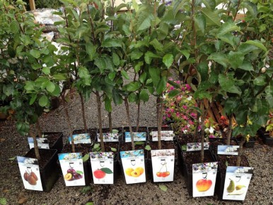 ����� ������� ��������: ��� ���������� �� ������ � ������� ��������� ��������