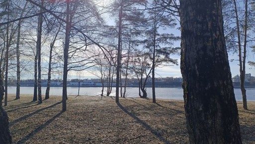 �� ��������� ���������� � ��������� �������� 5 ��������������� �����