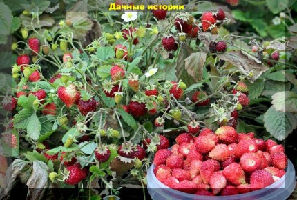 ������������ ���������: ��������� ����� ��� ������ ���� � 2026 ����